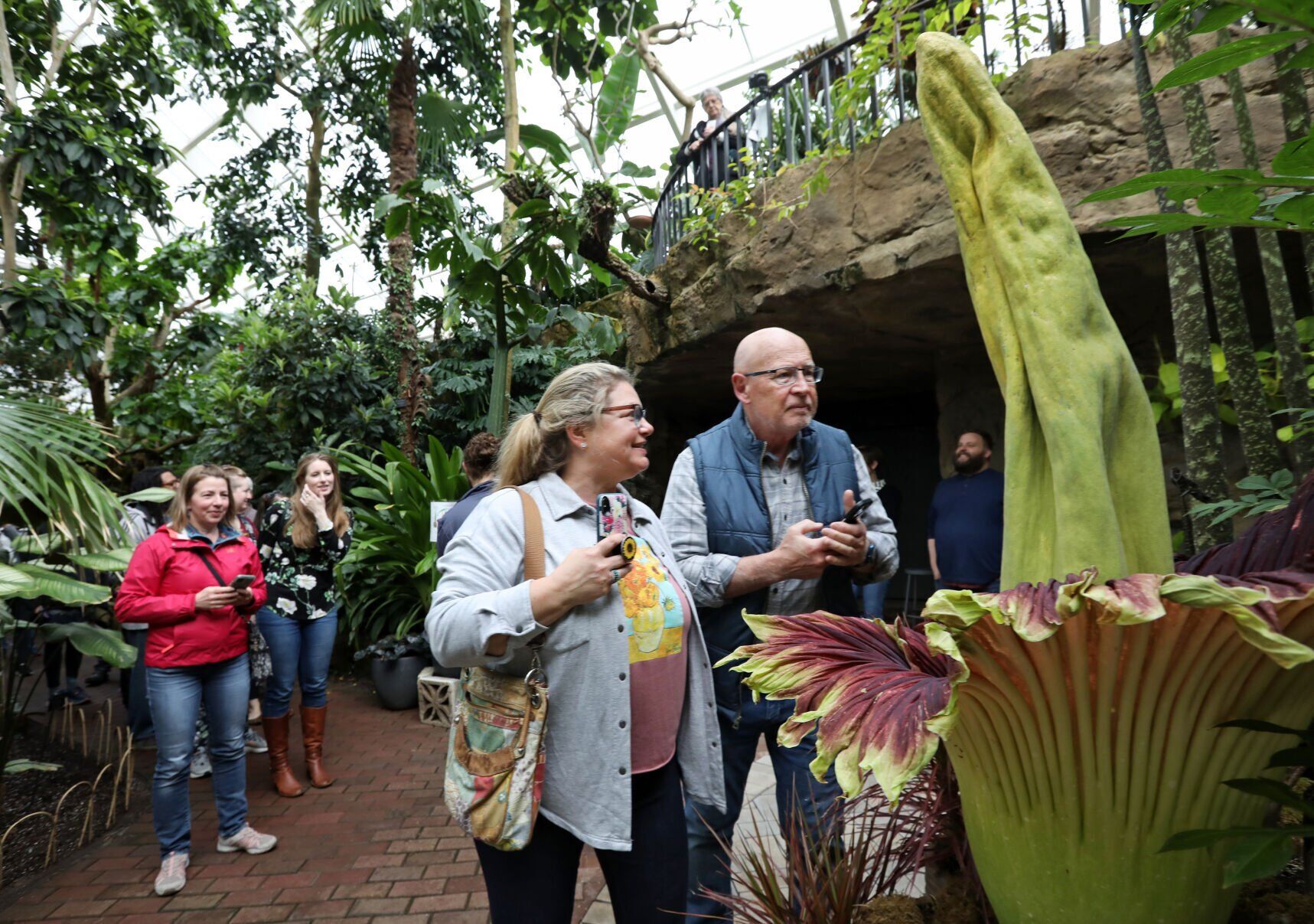 Corpse flower